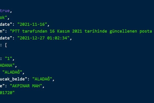 Posta Kodu Örnek Json